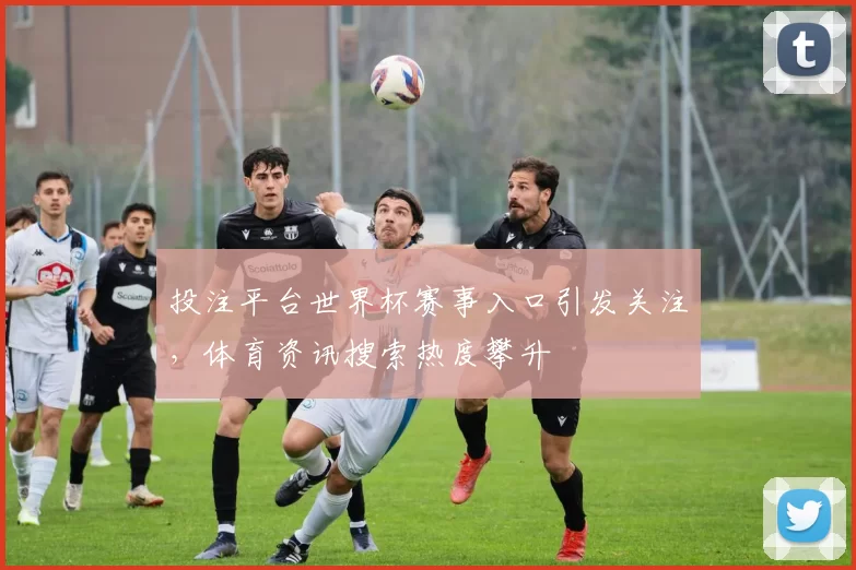 投注平台世界杯赛事入口引发关注,体育资讯搜索热度攀升