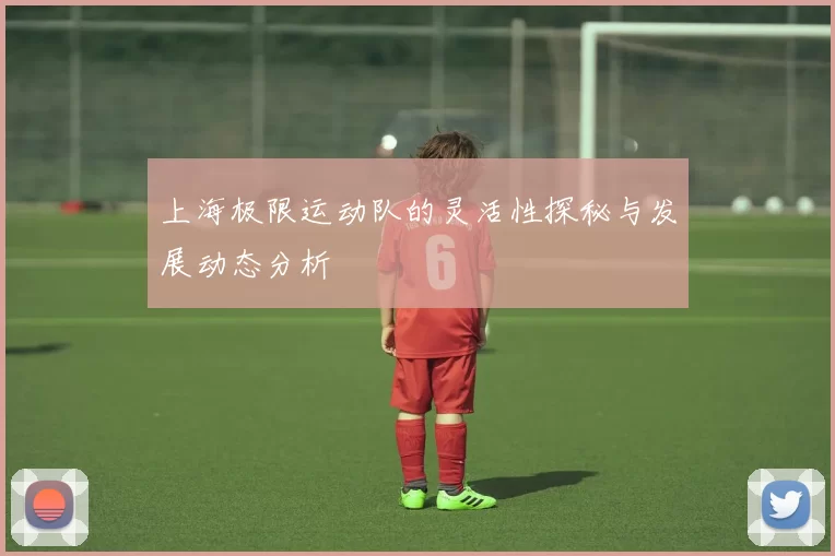 上海极限运动队的灵活性探秘与发展动态分析