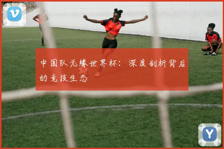 中国队无缘世界杯：深度剖析背后的竞技生态