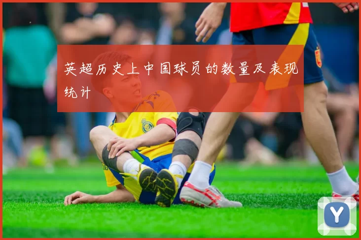 英超历史上中国球员的数量及表现统计