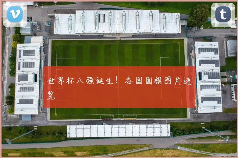 世界杯八强诞生！各国国旗图片速览