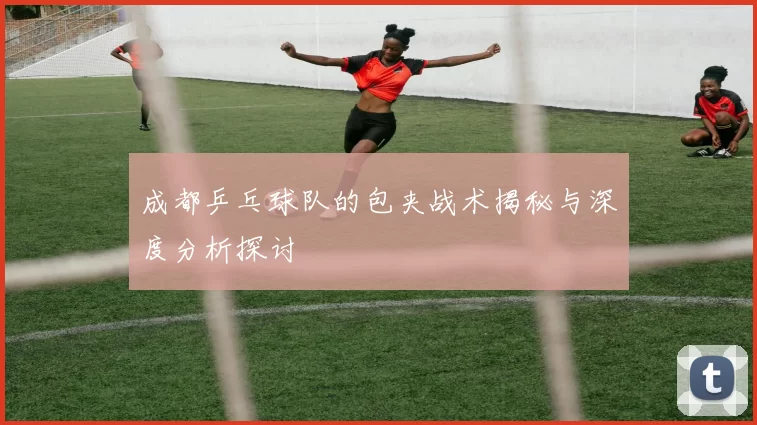 成都乒乓球队的包夹战术揭秘与深度分析探讨