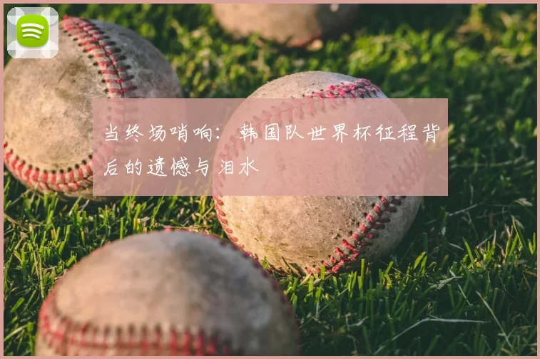 当终场哨响:韩国队世界杯征程背后的遗憾与泪水