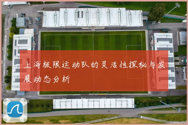 上海极限运动队的灵活性探秘与发展动态分析