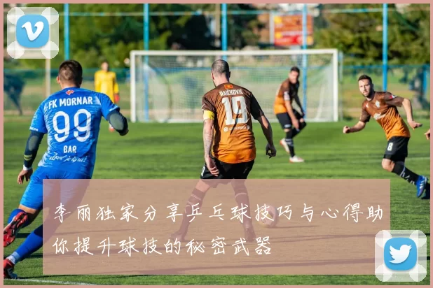 李丽独家分享乒乓球技巧与心得助你提升球技的秘密武器