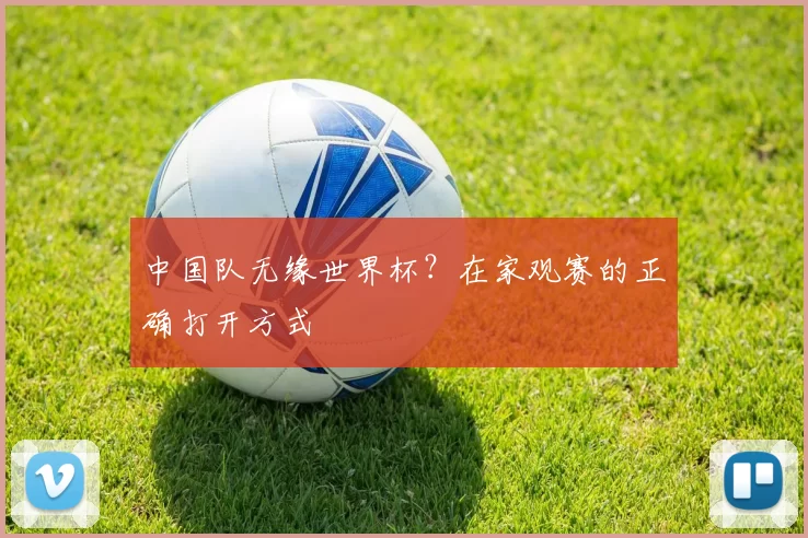 中国队无缘世界杯？在家观赛的正确打开方式