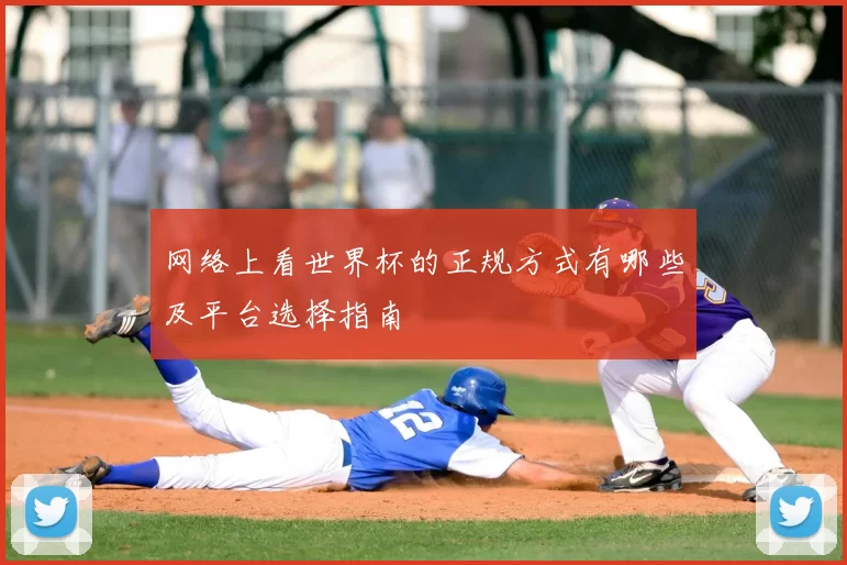 网络上看世界杯的正规方式有哪些及平台选择指南