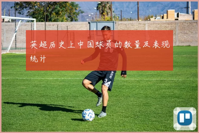 英超历史上中国球员的数量及表现统计