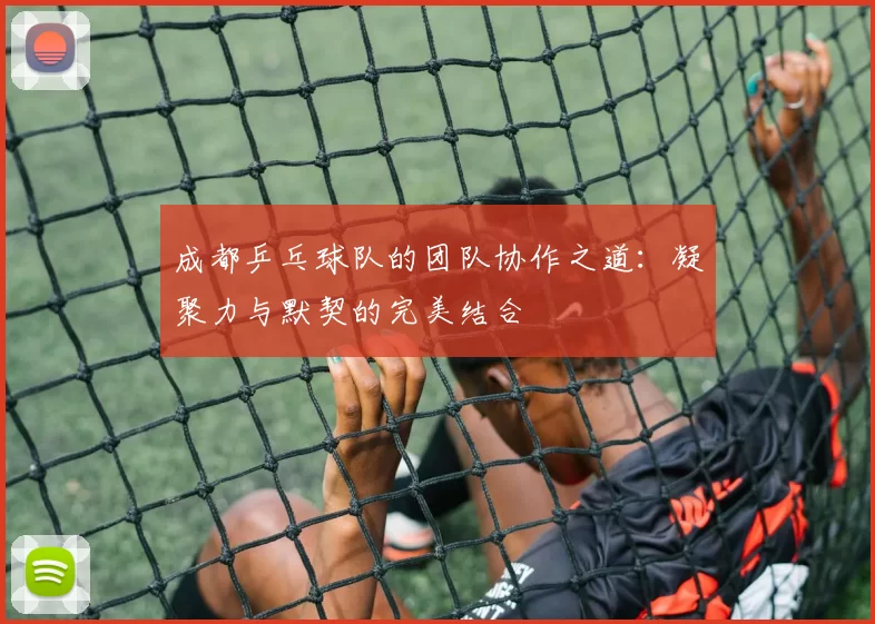 成都乒乓球队的团队协作之道：凝聚力与默契的完美结合