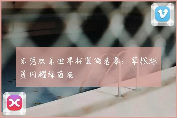 东莞欢乐世界杯圆满落幕,草根球员闪耀绿茵场