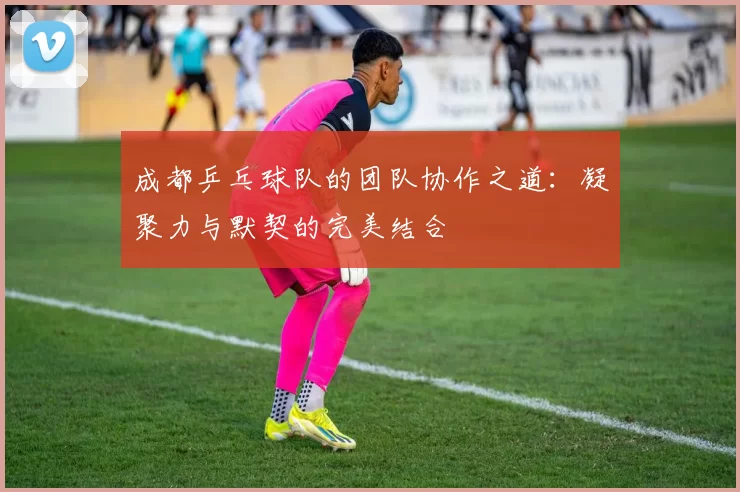 成都乒乓球队的团队协作之道：凝聚力与默契的完美结合