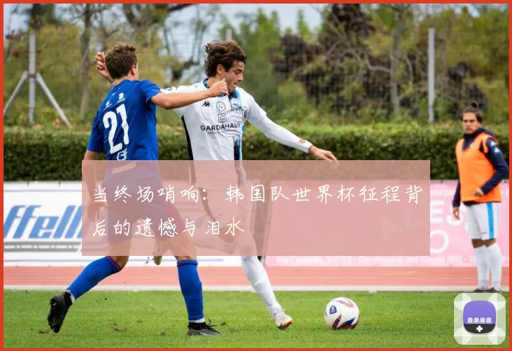 当终场哨响：韩国队世界杯征程背后的遗憾与泪水