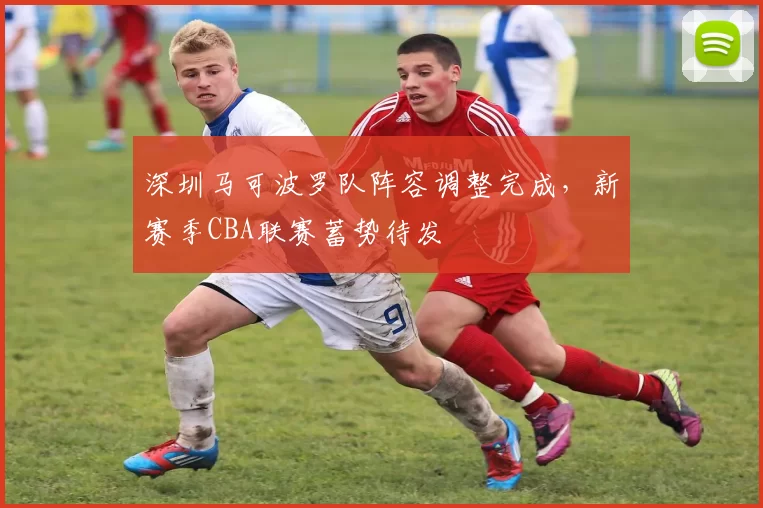 深圳马可波罗队阵容调整完成，新赛季CBA联赛蓄势待发